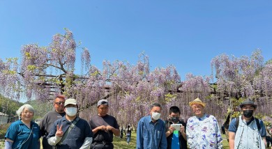 修正済み