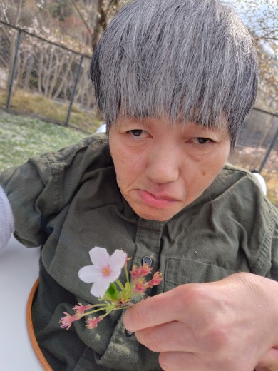 写真１３