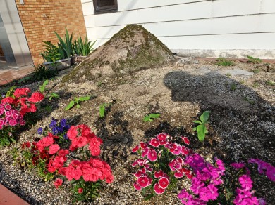 お花とひまわり