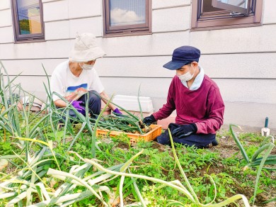 ６月ﾌﾞﾛｸﾞ写真①_edited