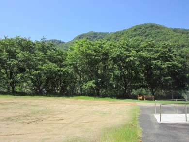 写真④山