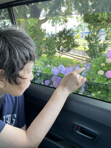 写真19