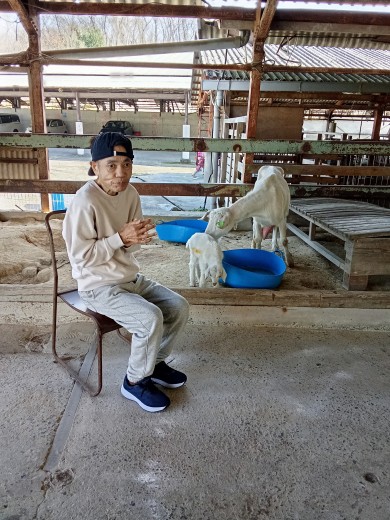 ⑧