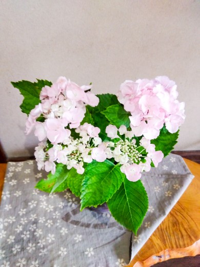 写真１